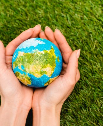 World In hands image