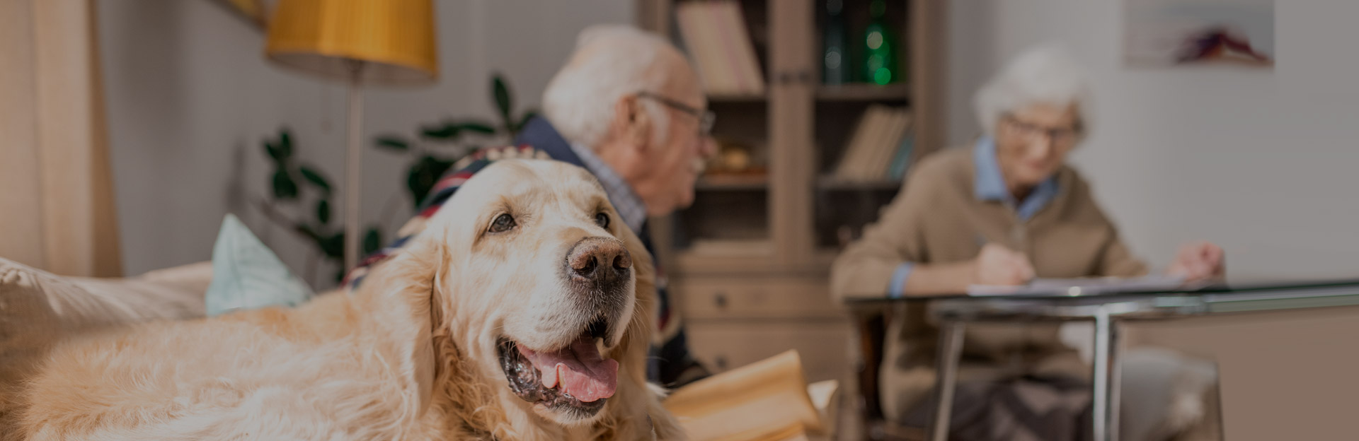 Seniors with their dog
