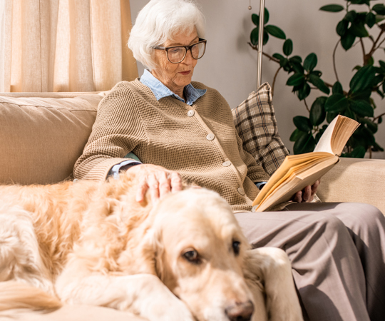 Senior readying with a dog